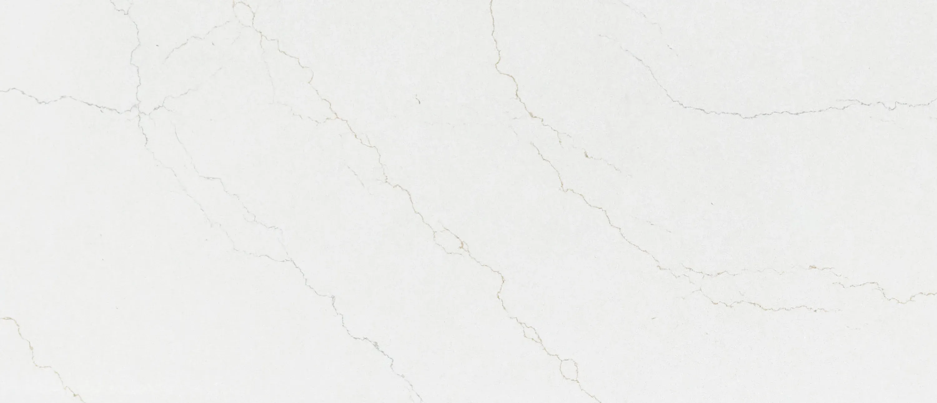 Calacatta Adonia™ - image 2