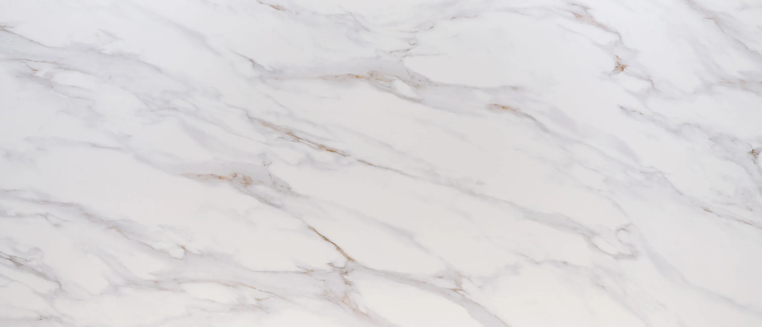 Calacatta Castana® - image 3