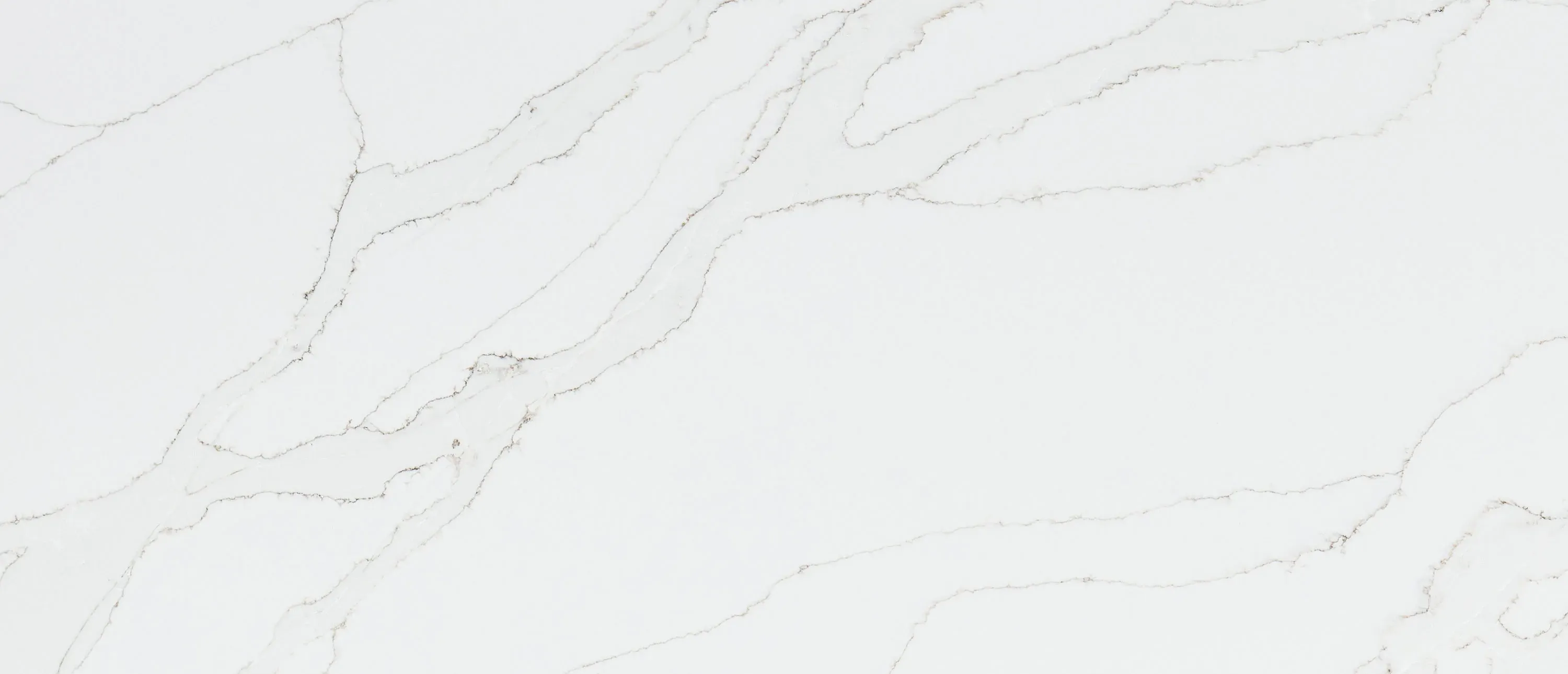 Calacatta Izaro® - image 2