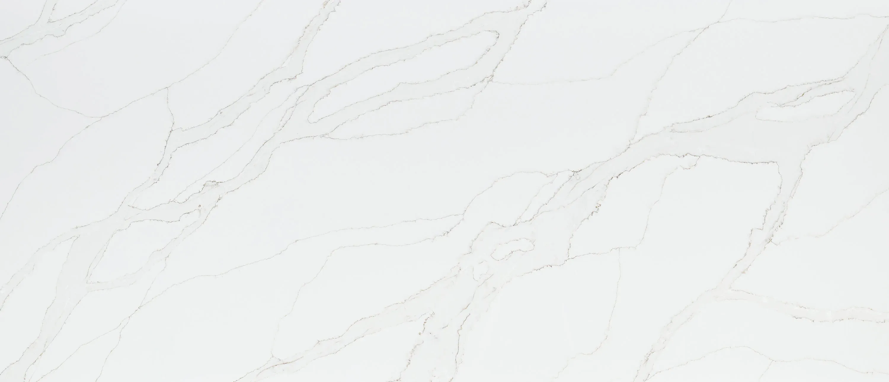 Calacatta Izaro® - image 3