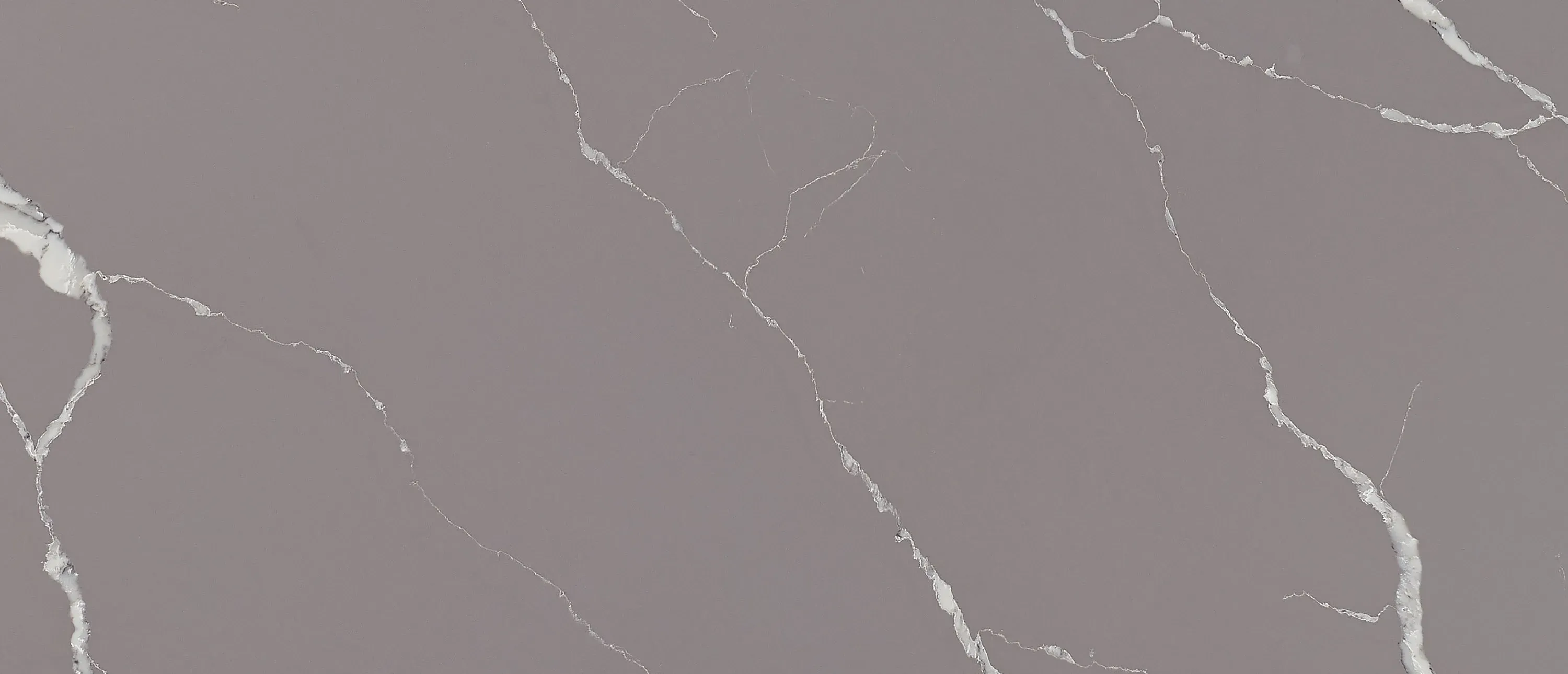 Calacatta Laza Grigio® - image 2