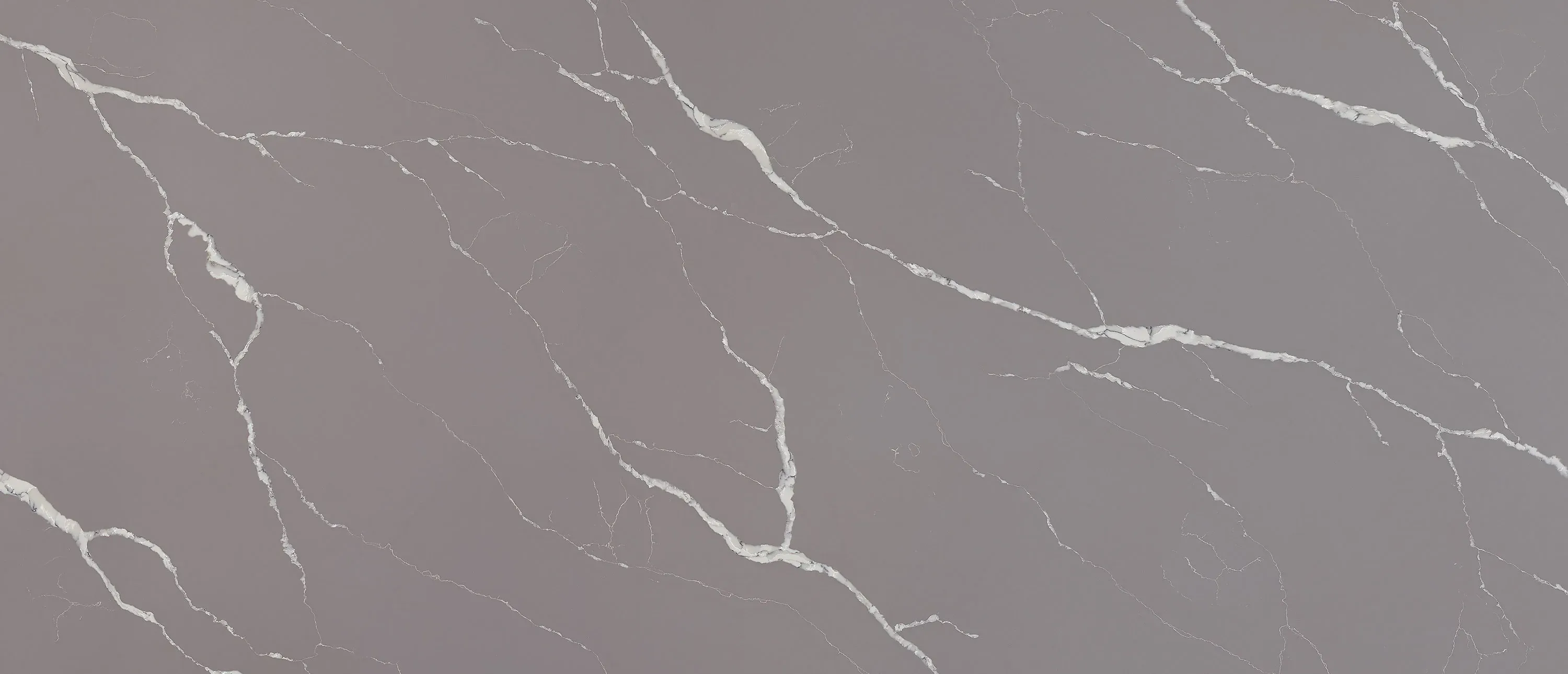 Calacatta Laza Grigio® - image 3