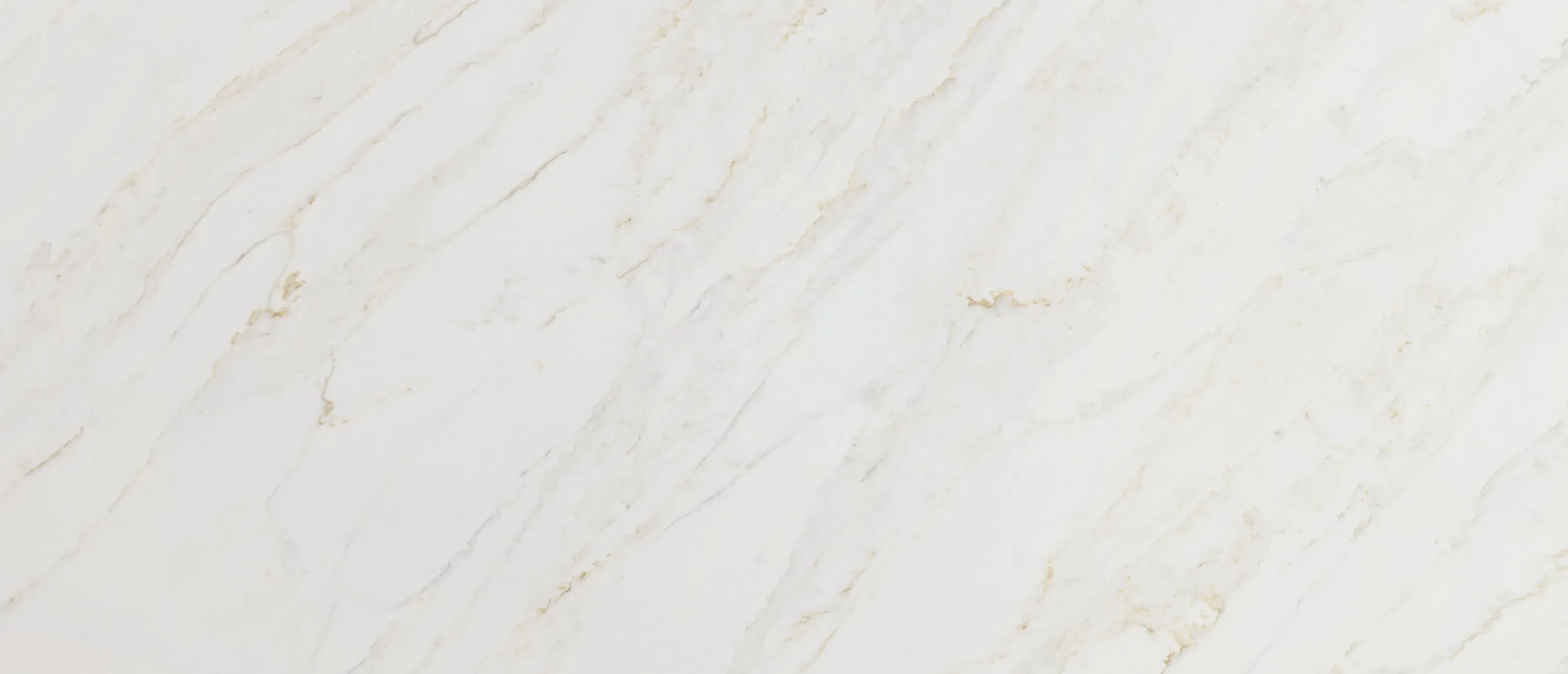 Calacatta Premata® - image 2