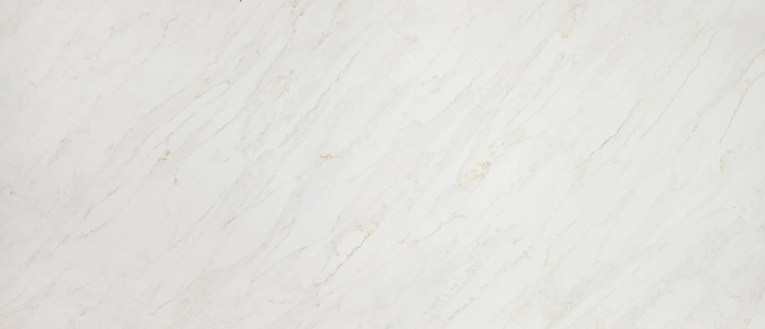 Calacatta Premata® - image 3