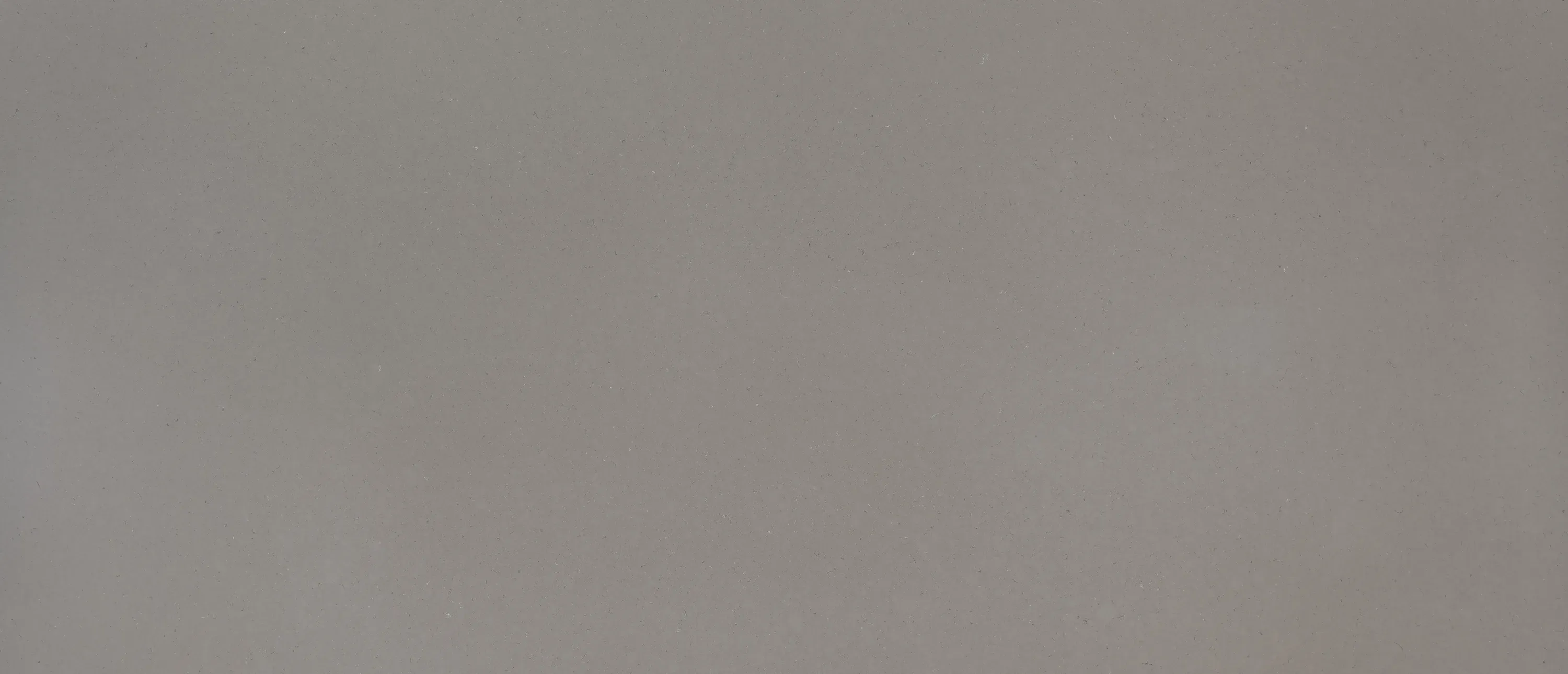 Fossil Gray® - image 3